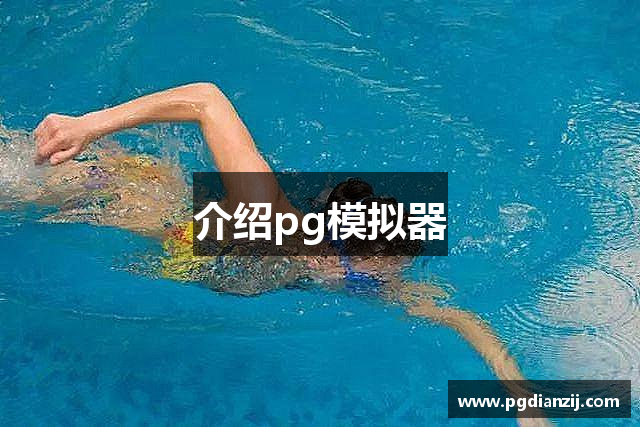 介绍pg模拟器